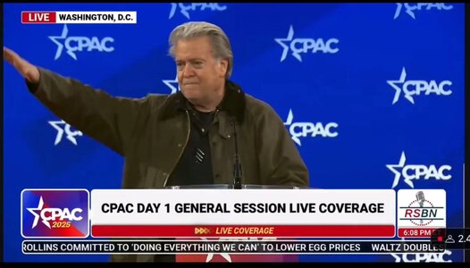 nnon-gives-salute-identical-to-Nazi-salute-at-CPAC.jpg