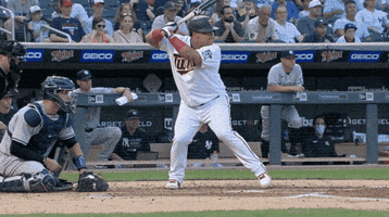 Minnesota Twins Baseball GIF by Jomboy Media Minnesota Twins Baseball GIF by Jomboy Media