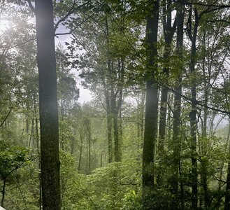 IMG_8582.jpeg