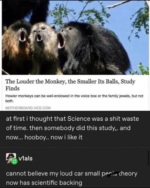 1746447061248.png