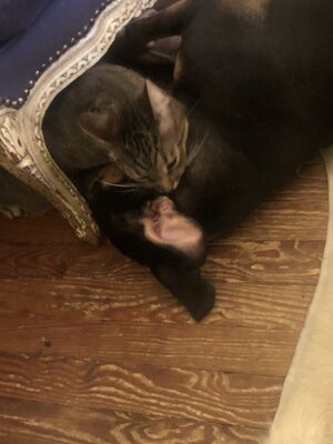 IMG_4846.jpeg