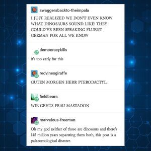1747221157542.jpeg