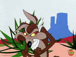 Angry Wile E Coyote GIF by Looney Tunes