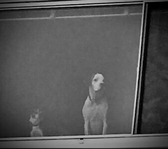 IMG_8862.jpeg