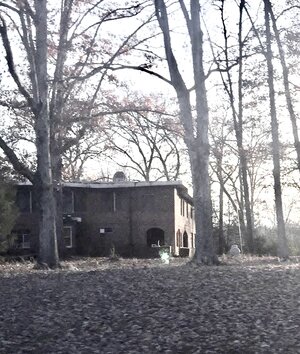 IMG_9115.jpeg