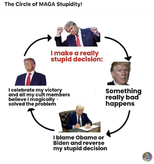 1000006496.png