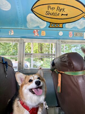 IMG_5745.jpeg