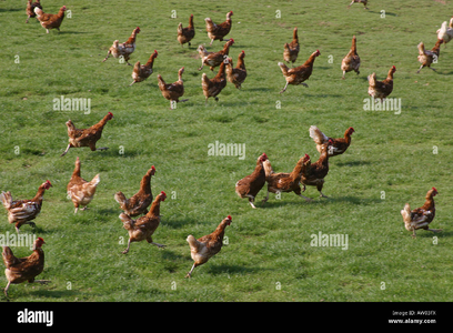 1749048368737.png