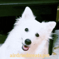 200.gif