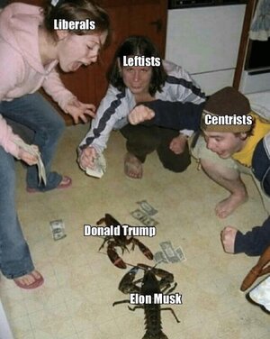 1000042285.jpg