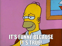 IMG_5695.gif
