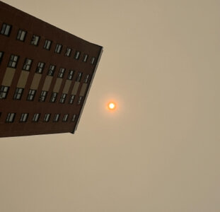 IMG_9206.jpeg