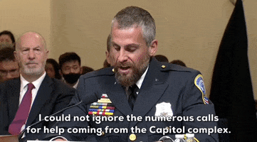 January 6 Insurrection GIF by GIPHY News