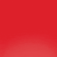 Happy Birthday GIF by Sesame Street