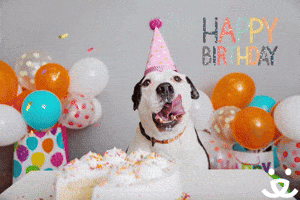 Celebrate Happy Birthday GIF by Best Friends Animal Society