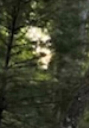 IMG_9470.jpeg
