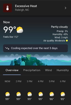 Screenshot_20250625_134529_Google.jpg