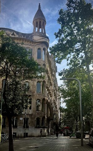 IMG_9523.jpeg