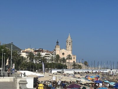 IMG_9559.jpeg