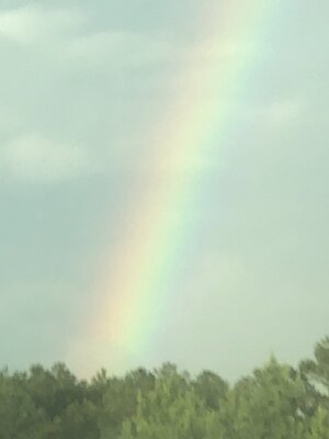 IMG_5342.jpeg