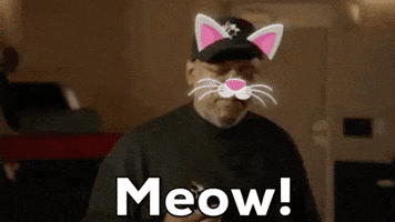 Samuel L Jackson Meow GIF by Kids' Choice Awards