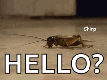 1752179196958.gif