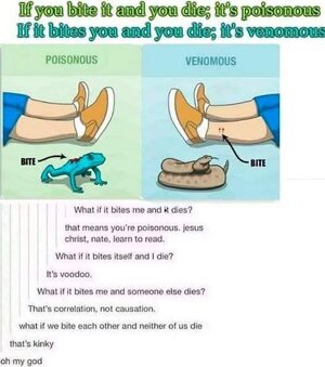 1752801967282.jpeg