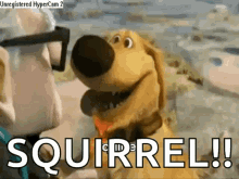 1752980573160.gif