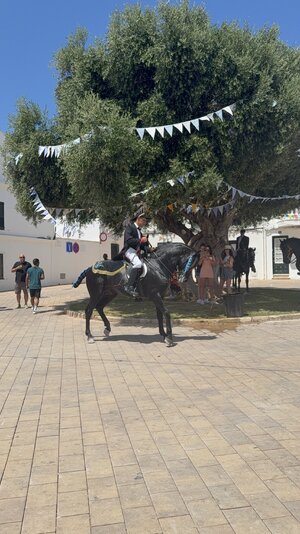 IMG_5297.jpeg