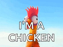 chicken-cluck.gif