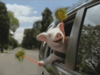 1000007624.gif