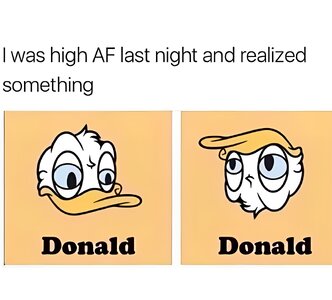 1756065594524.jpeg
