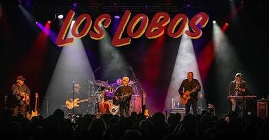 IMG_9433.jpeg