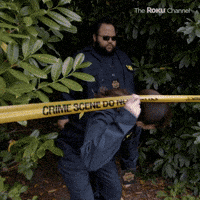 Season 2 Csi GIF by The Roku Channel