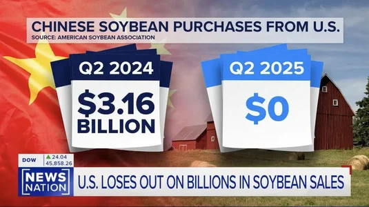 soybean-farmers-losing-billions-of-dollars-worth-of-v0-zzxbf3090gpf1.webp