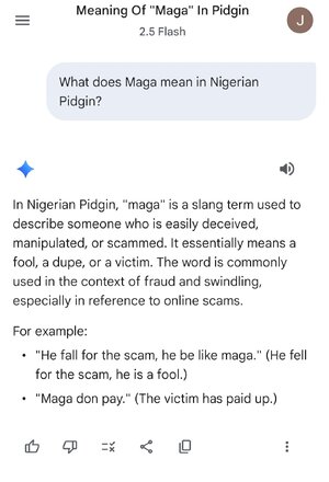 1000008003.jpg