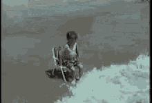 IMG_0443.gif