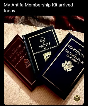 7e7d9d_843d132937ef4bb0af42218f27938c03~mv2.png