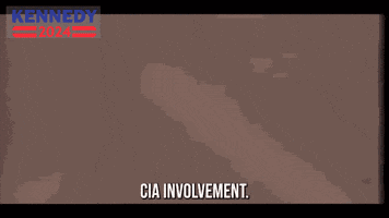 Agency Spying GIF by Team Kennedy Agency Spying GIF by Team Kennedy