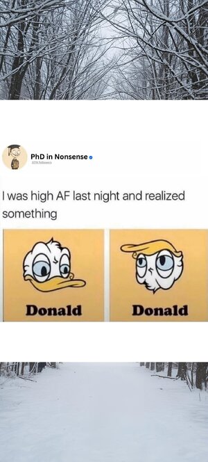 1236.jpg