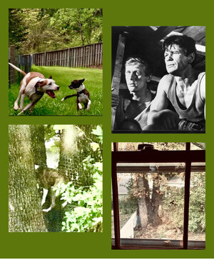 IMG_1246.jpeg IMG_1246.jpeg