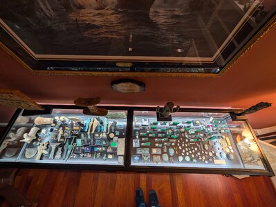 PXL_20251103_012217344.jpg PXL_20251103_012217344.jpg