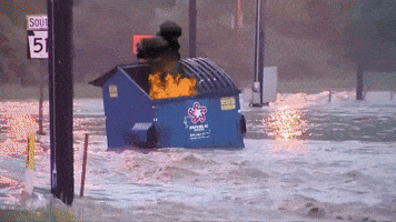 Fire This Is Fine GIF by MOODMAN Fire This Is Fine GIF by MOODMAN