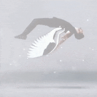 fly falls GIF by ZAYN fly falls GIF by ZAYN