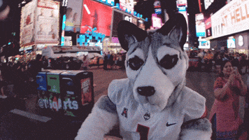 Mascot Jonathan GIF by UConn Huskies Mascot Jonathan GIF by UConn Huskies