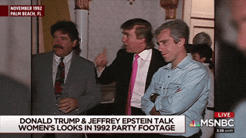 Jeffrey Epstein Trump GIF Jeffrey Epstein Trump GIF