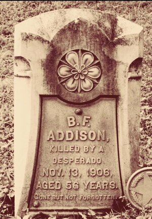 AddisonNovember13Desperado.jpg
