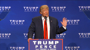 1763130390316.gif 1763130390316.gif