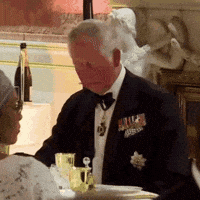 Prince Charles GIF Prince Charles GIF