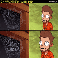 web charlotte GIF web charlotte GIF